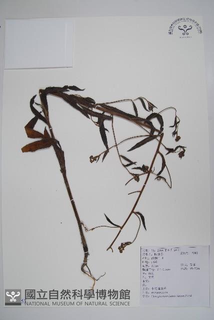 小花倒提壺藏品圖，第1張