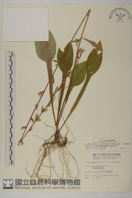 臺灣鬼督郵藏品圖，第1張