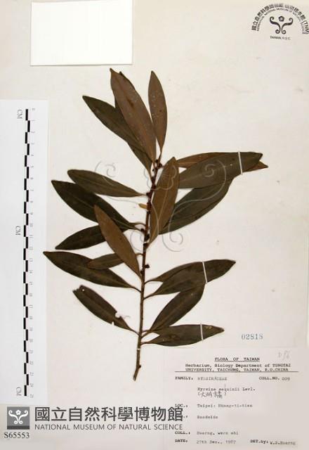 大明橘藏品圖，第1張