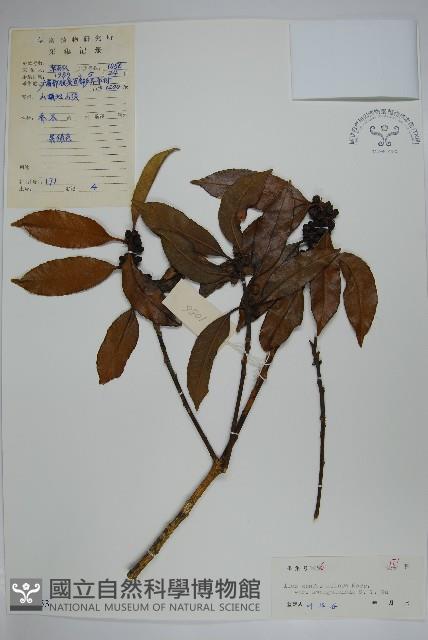 登錄號:S043553藏品圖，第1張