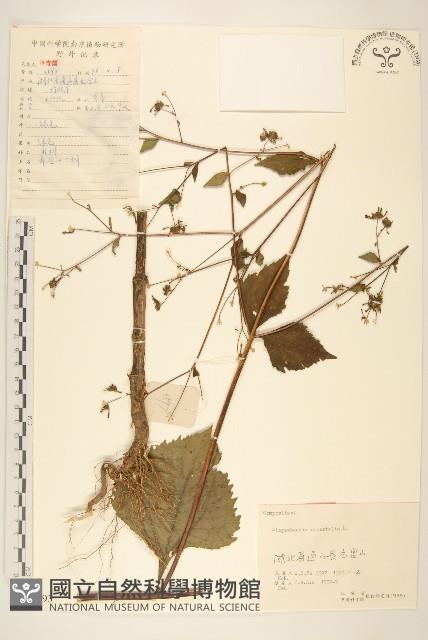 豨簽藏品圖，第1張