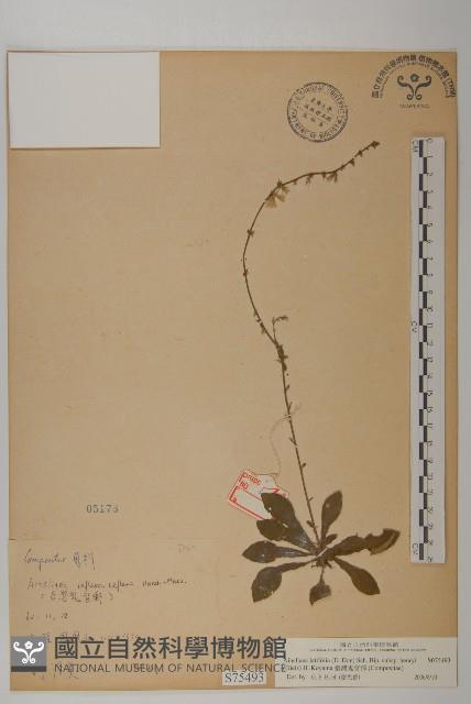 臺灣鬼督郵藏品圖，第1張