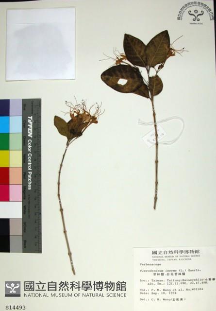 苦林盤藏品圖，第1張