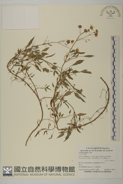 登錄號:S114193藏品圖，第1張