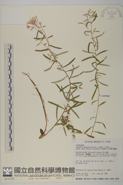 玉山抱莖籟簫藏品圖，第1張