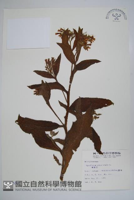 康復力藏品圖，第1張