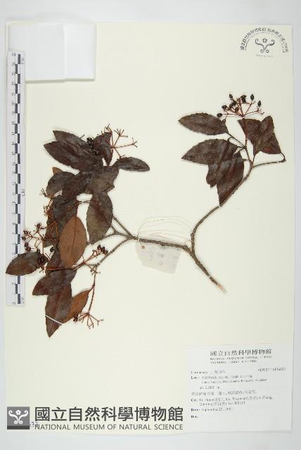 登錄號:S136633藏品圖，第1張