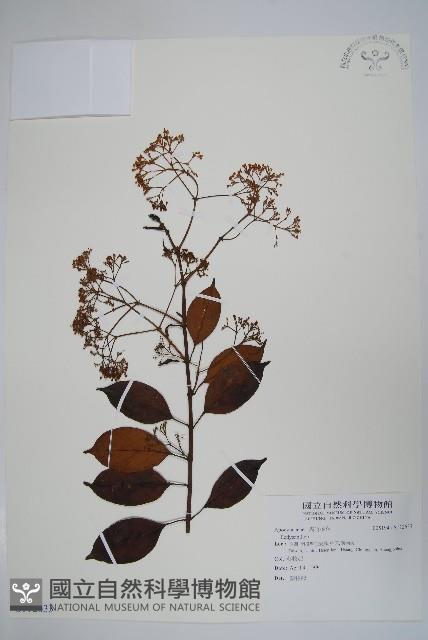 登錄號:S112633藏品圖，第1張