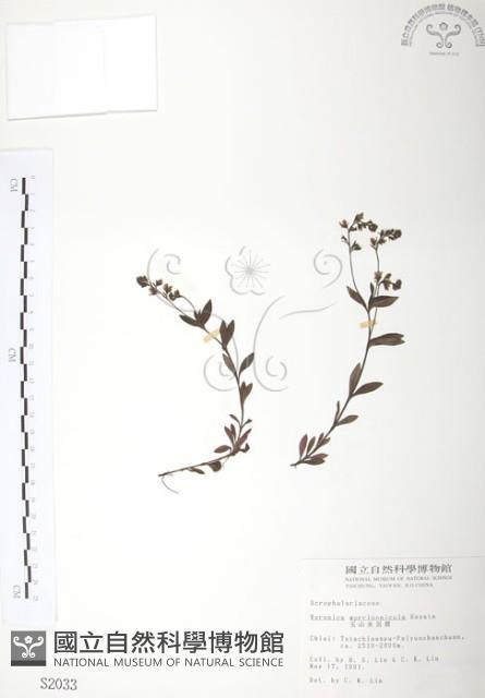 玉山水苦賈藏品圖，第1張