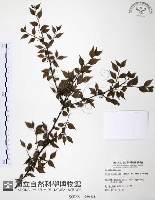 燈稱花、烏雞骨藏品圖，第1張