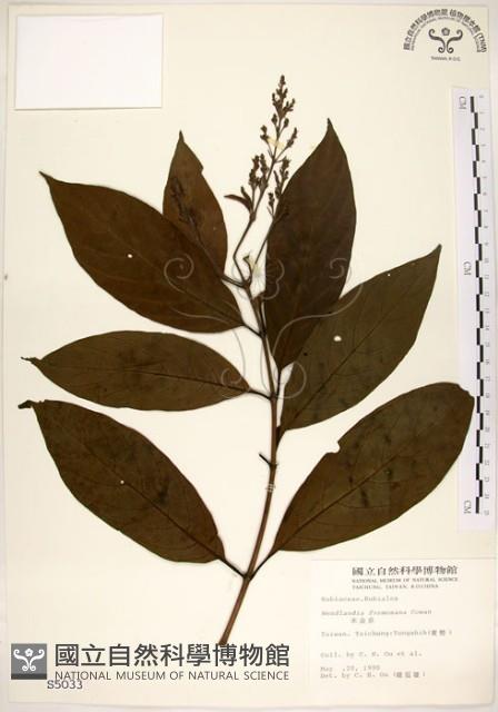 水金京藏品圖，第1張