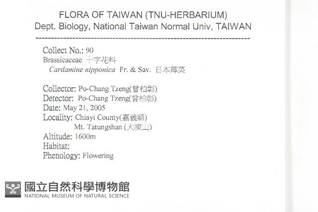 山薔薇藏品圖，第1張