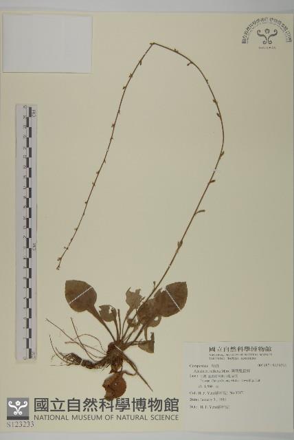 臺灣鬼督郵藏品圖，第1張