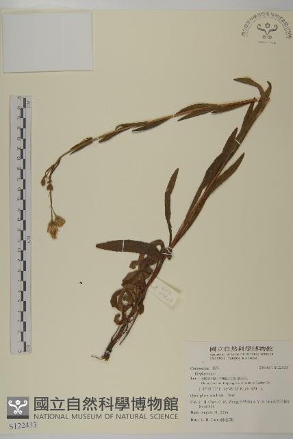 登錄號:S122433藏品圖，第1張