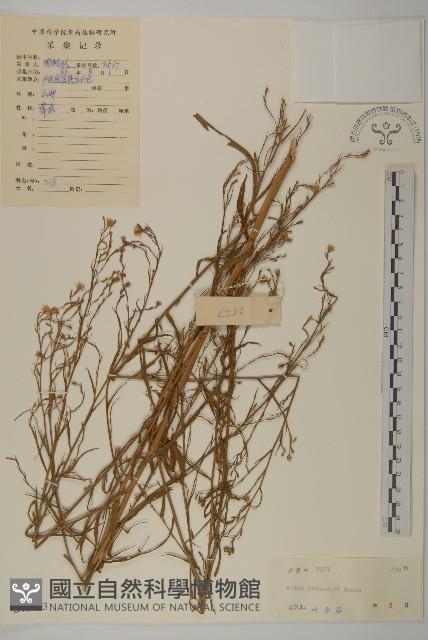 登錄號:S041433藏品圖，第1張