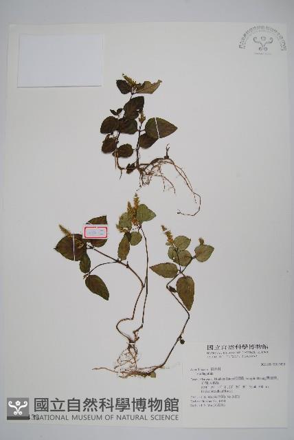 登錄號:S017433藏品圖，第1張