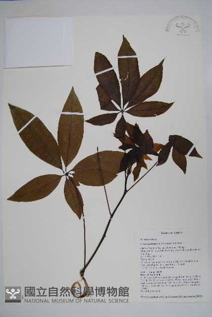 登錄號:S097433藏品圖，第1張
