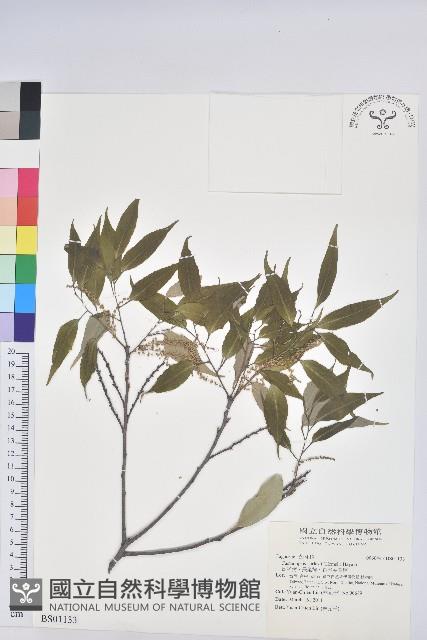 琉璃繁縷藏品圖，第1張