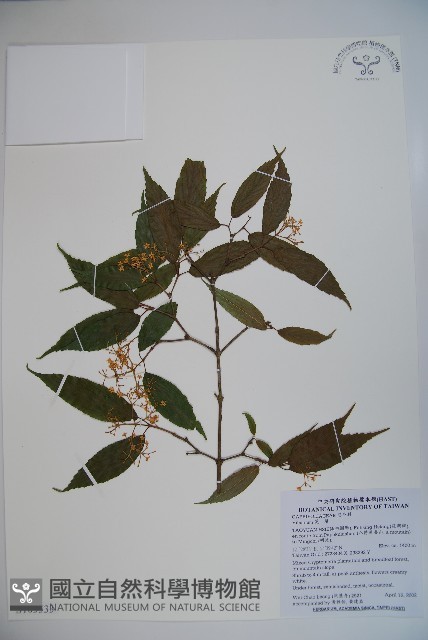 登錄號:S103333藏品圖，第1張