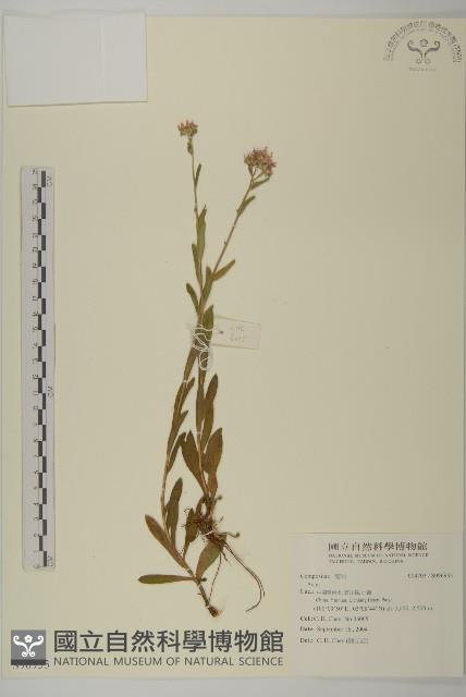 登錄號:S096933藏品圖，第1張