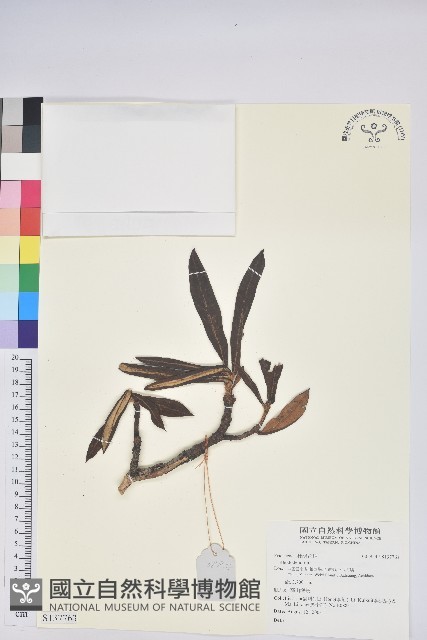 登錄號:S137763藏品圖，第1張