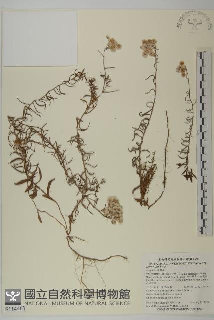 登錄號:S114463藏品圖，第1張