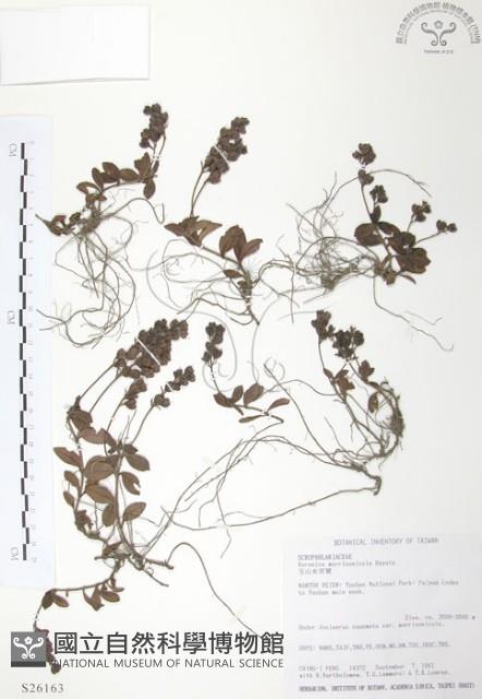 玉山水苦賈藏品圖，第1張