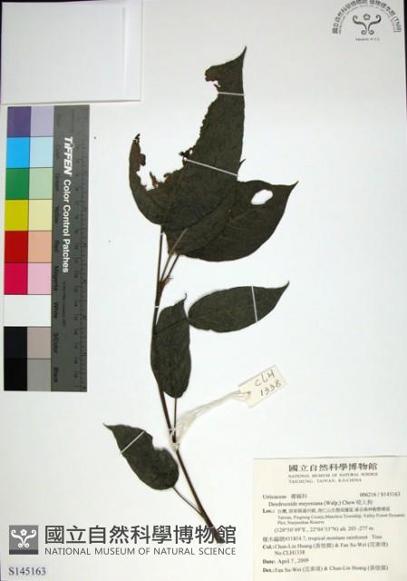 咬人狗藏品圖，第1張