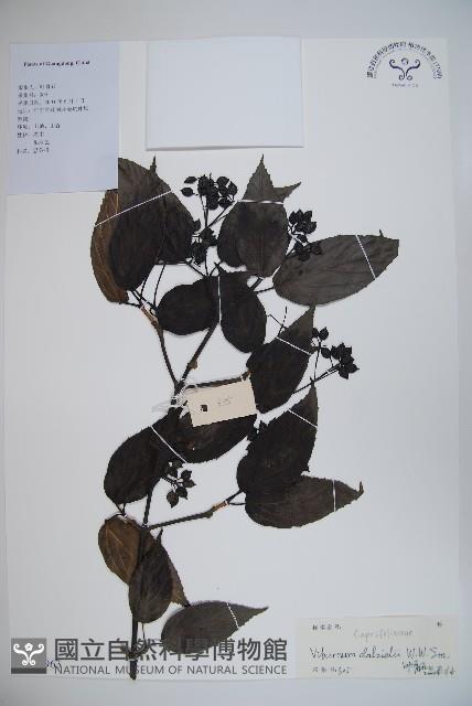 登錄號:S126963藏品圖，第1張