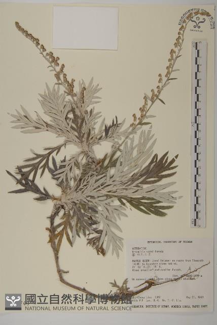 太魯閣艾藏品圖，第1張