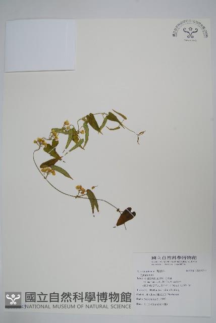 登錄號:S115743藏品圖，第1張