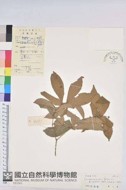 登錄號:S033243藏品圖，第1張