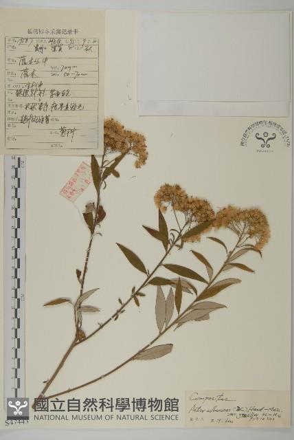 Accession Number:S047443 Collection Image, Figure 1, Total 3 Figures