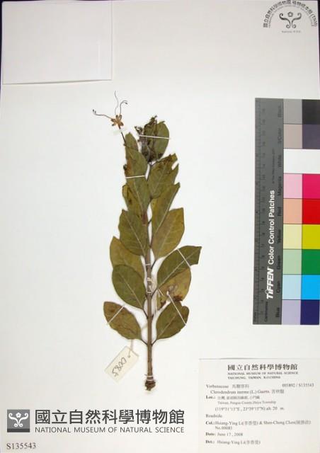 苦林盤藏品圖，第1張