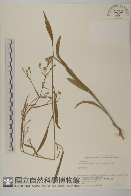 登錄號:S074543藏品圖，第1張