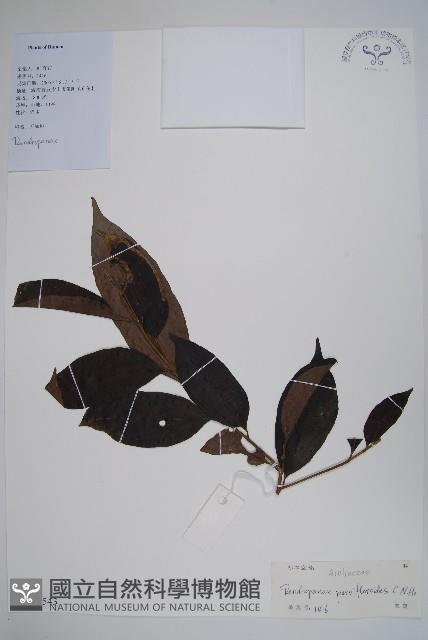 登錄號:S127543藏品圖，第1張