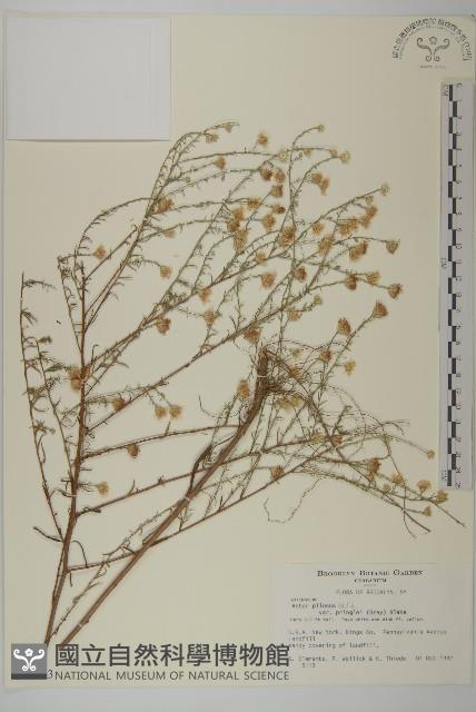 登錄號:S077543藏品圖，第1張