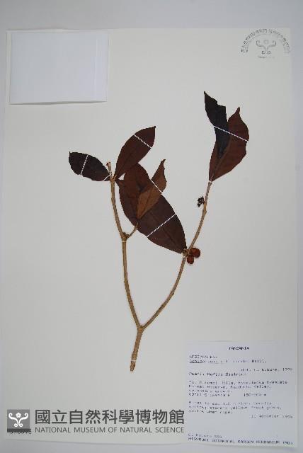 登錄號:S096073藏品圖，第1張
