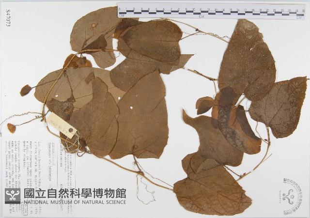 登錄號:S047073藏品圖，第1張