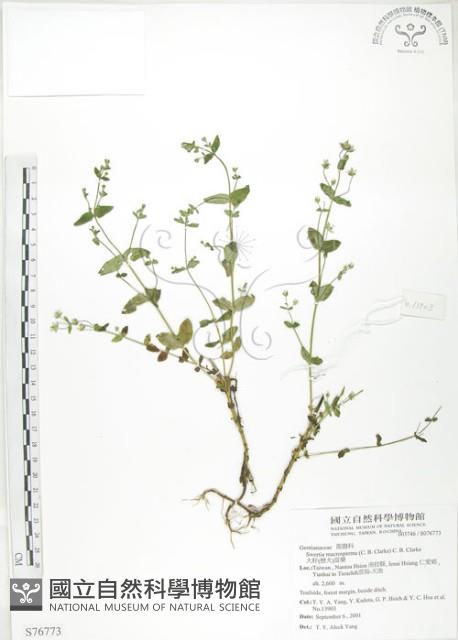 Accession Number:S076773 Collection Image