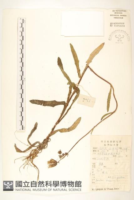 臭根藏品圖，第1張