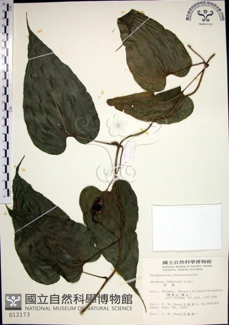 百部藏品圖，第1張