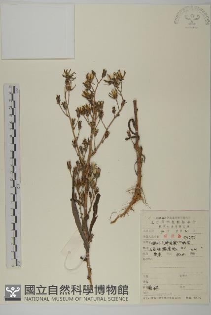 登錄號:S053573藏品圖，第1張