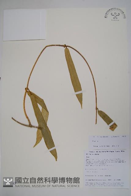 登錄號:S105783藏品圖，第1張