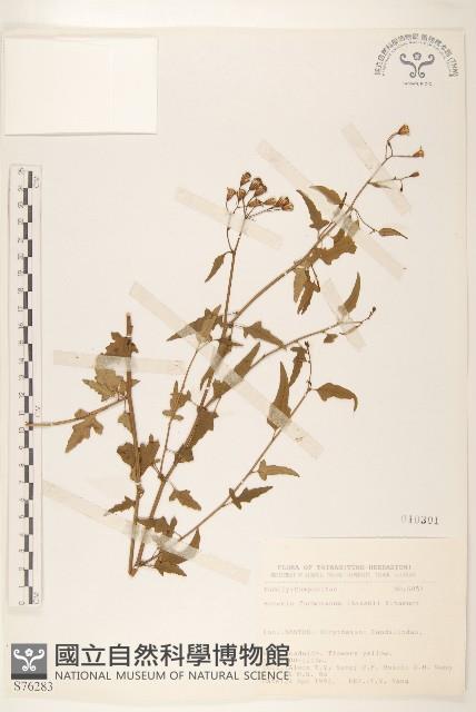 臺灣劉寄奴藏品圖，第1張