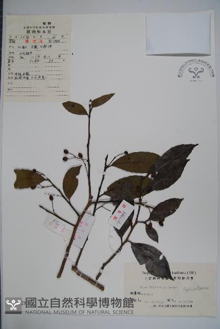 登錄號:S025283藏品圖，第1張