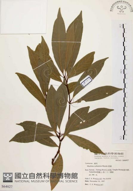 香楠藏品圖，第1張