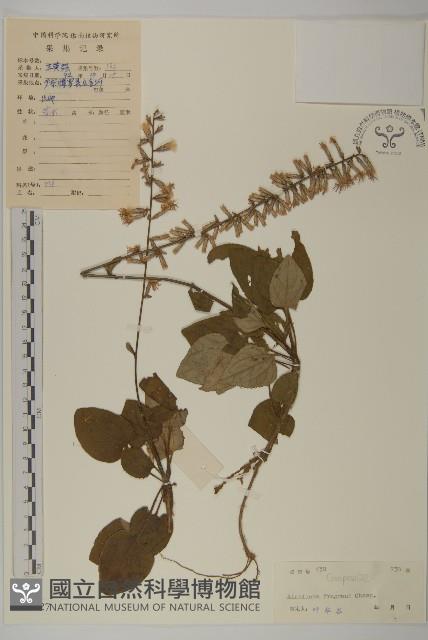 香鬼督郵藏品圖，第1張