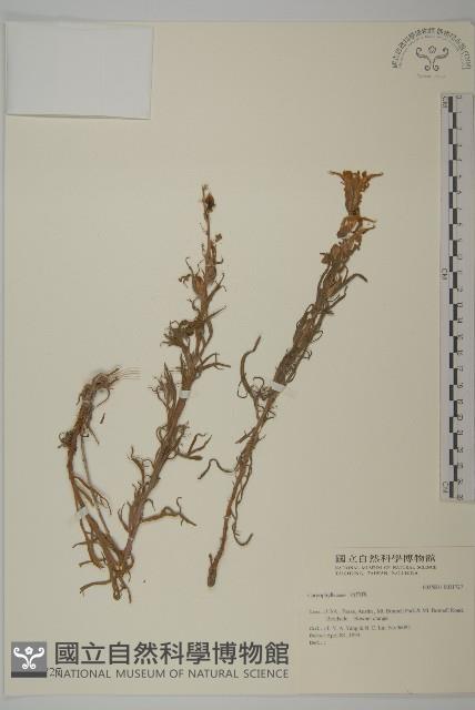 登錄號:S031727藏品圖，第1張