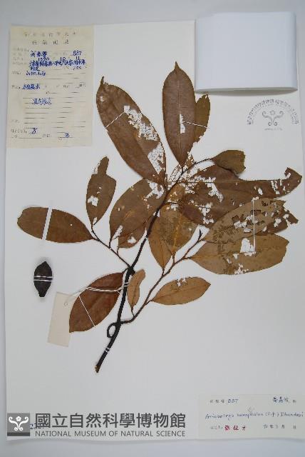 Accession Number:S042227 Collection Image, Figure 1, Total 2 Figures